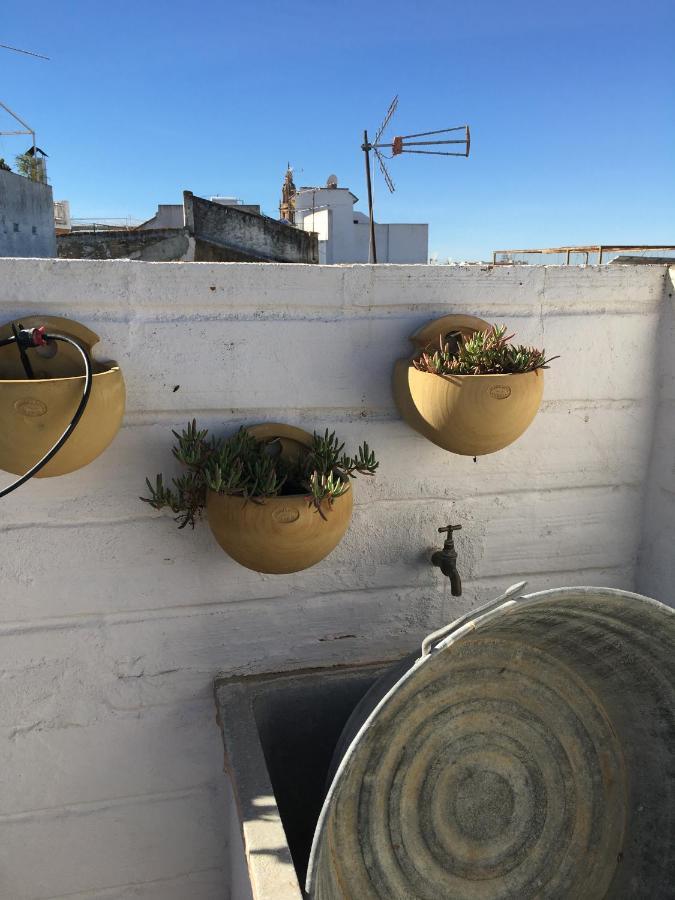 Casa Leon Blanco Carmona Reformada Centrica Con Chimenea Y Terraza Con Vistas Villa ภายนอก รูปภาพ